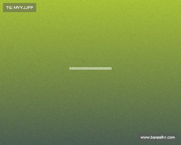 第十四届全运会赛事火热进行中国队金牌榜领先运动员奋勇争先