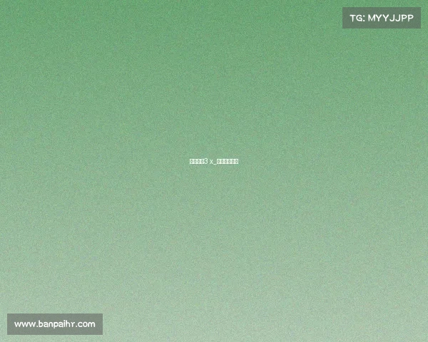 户外赛事3 x_户外赛事直播